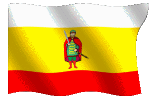 ryazanflag